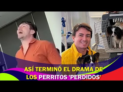 ¡Así terminó el drama de los perritos ‘perdidos’!