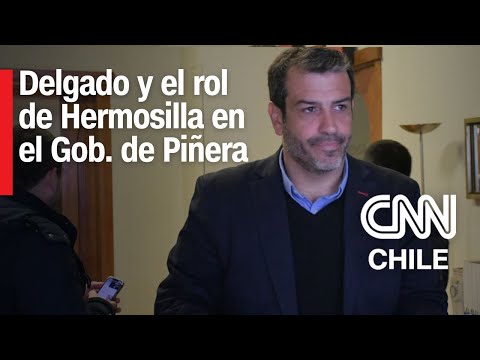 Caso Hermosilla: ¿Qué rol jugó el abogado mientras Delgado estuvo en Interior? | CNN Prime