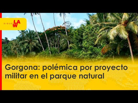 Gorgona: polémica por proyecto militar en el parque natural