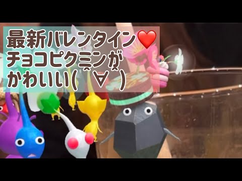 バレンタインのチョコピクミン❤️これはコンプしたい( *๑•̀д•́๑)」