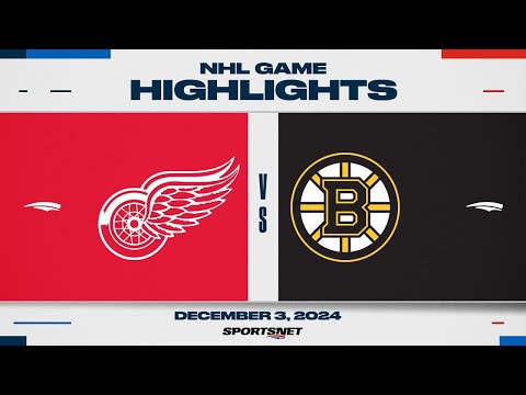 NHL Highlights | Red Wings vs. Bruins - December 3, 2024