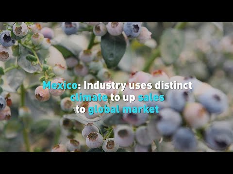 Mexico: Industry uses distinct climate to up sales to global market