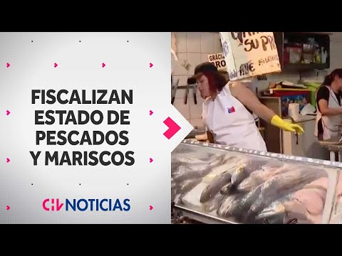 Fiscalizan la venta de PESCADOS Y MARISCOS en el comercio, en previa de Semana Santa - CHV Noticias