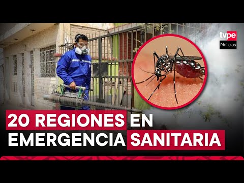 Gobierno declara en de emergencia sanitaria por dengue a 20 regiones