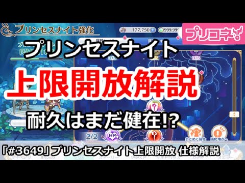 【プリコネ】プリンセスナイト 上限解放解説 耐久はまだ健在！？【プリンセスコネクト！】