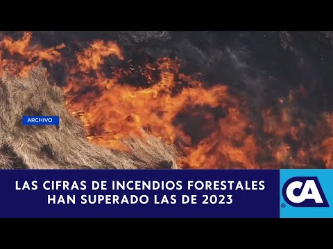 INAB hace un llamado a no provocar incendios forestales y denunciar al numero 119 de la CONRED