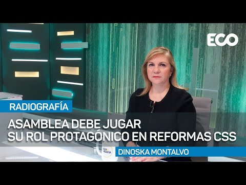 Rol de la asamblea y democracia representativa en reformas css  |#Radiografía