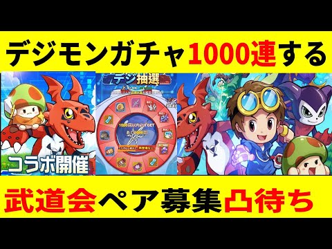 【キノコ伝説 】ガチャ1000連/武道会ペア募集優勝目指す【きのこ伝説/勇者と魔法のランプ】