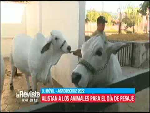 04042022 MARCO BARRO ALISTAN LOS ANIMALES PARA LA AGROPECRUZ RED UNITEL