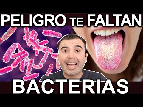 COMO SABER SI TE FALTAN BACTERIAS - Sintomas De Falta De Bacterias Buenas O Probioticos