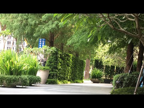 花園--การจัดสวนหน้าตึกที่พักของไ 花園--การจัดสวนหน้าตึกที่พักของไ