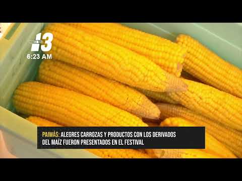 Éxito rotundo en la feria del maíz en Paiwás Caribe Sur