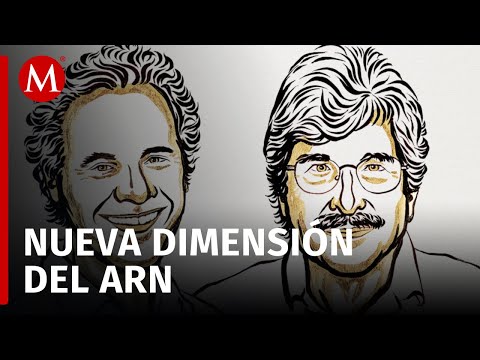 Victor Ambrós y Gary Rubicon ganan el Premio Nobel de Medicina 2024 por sus hallazgos en el ARN