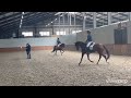 Dressage horse Talentvolle 5 jarige Elite Ibop merrie
