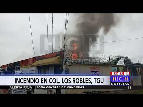 Incendio arrasa negocio en col. Los Robles