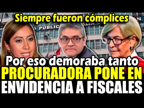 Exprocuradora pone en evidencia lentitud de fiscalía y complicidad de Domingo Pérez con Villarán