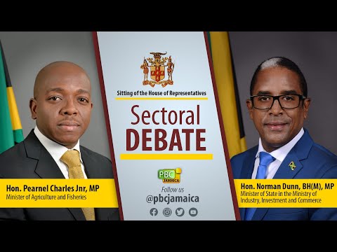 Sitting of the House of Representatives || Sectoral Debate - May 17, 2022