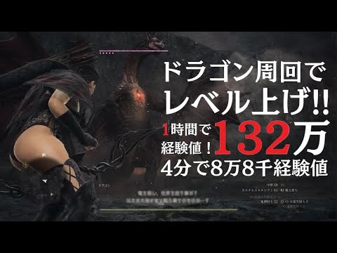 【Dragon's Dogma 2】経験値稼ぎ【アーチャー/鬼神射ち】