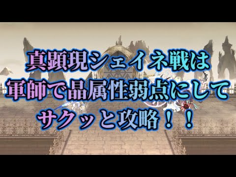 【アナザーエデン】【アナデン】真顕現シェイネ戦　軍師を前衛にした晶属性でゴリ押し攻略！！【Another Eden】