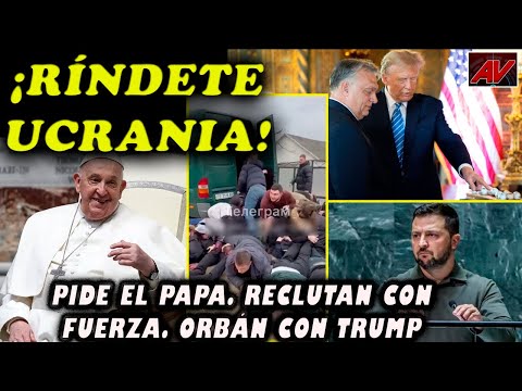 ¡Ríndete Zelenski! Están derrotados, le dice el Papa. Reclutan con fuerza a jóvenes. Orbán con Trump