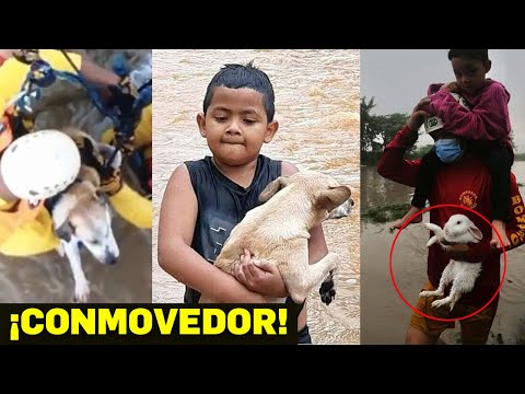 INFORME ESPECIAL: Hondureños NO olvidaron a sus MASCOTAS y animales en las inundaciones de ETA