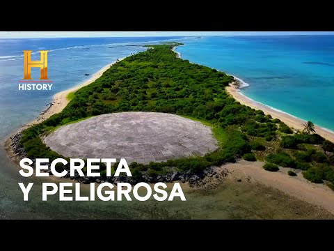 LA CÚPULA RUNIT - LA EVIDENCIA ESTÁ ENTRE NOSOTROS: SECRETOS MILITARES