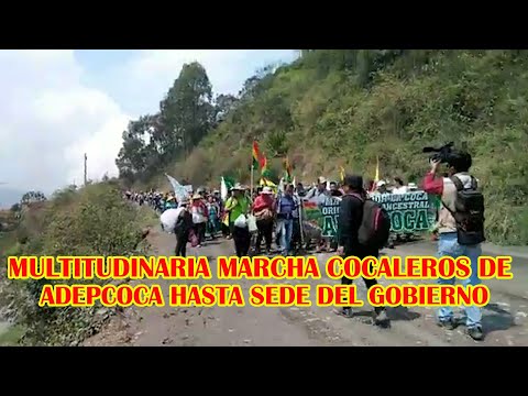 SE DIO INICIO A LA GRAN MARCHA DE COCALEROS VAN RUMBO HACIA SEDE DEL GOBIERNO EN LA PAZ BOLIVIA..