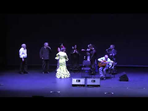 EN DIRECTO | XIX Festival Amigos del Flamenco 'Flamenquito del bueno'