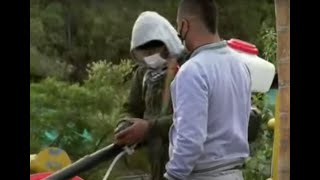 Cuatro guardias indígenas, gravemente heridos tras dos ataques armados en norte del Cauca