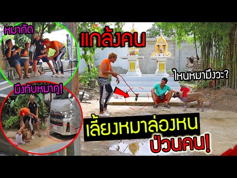 หมาล่องหน!!-แกล้งคน-หมาที่เจ้า หมาล่องหน!!-แกล้งคน-หมาที่เจ้า