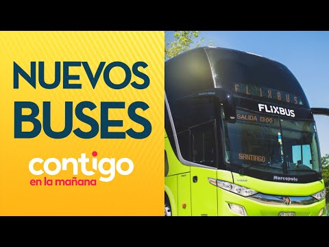 DESDE $999 Nueva línea de buses sorprende con pasajes a bajo precio - Contigo en la Mañana