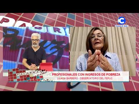 Profesionales con ingresos de pobreza | Liliana Barbero (Observatorio del FEPUC)