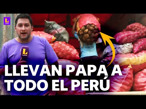 Este mercado de Huánuco abastece de papa a varias regiones del Perú