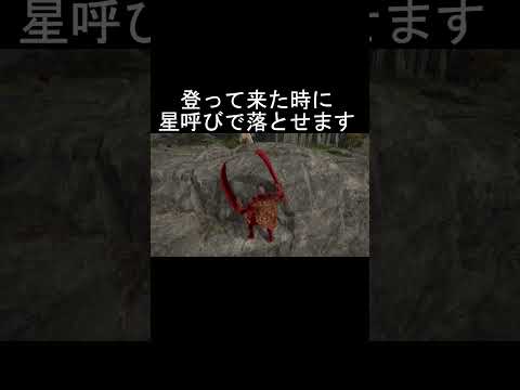 エルデンリング 地獄の侵入　星になった糞ホスト！  ELDEN RINGDLC #elden #eldenringdlc #ダクソ3