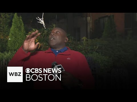 WBZ reporter pranked on live TV by fake spider while covering Joro spider in Boston