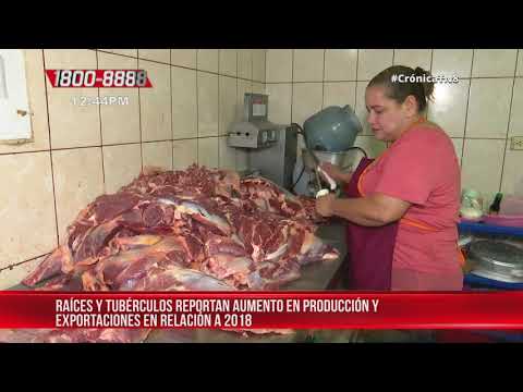 Nicaragua reporta aumento de producción en raíces y tubérculos