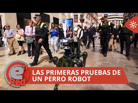 EnRed | Un perro robot para patrullar las calles