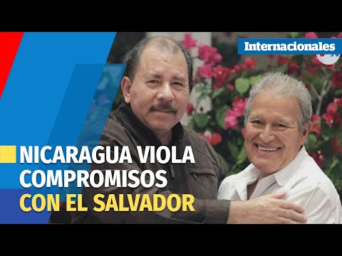 Naturalización de expresidentes salvadoreños viola compromisos internacionales de Nicaragua