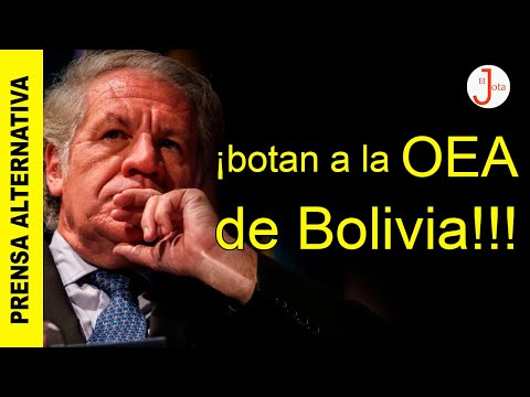 Bolivianos juntan firmas para que OEA no sea veedor en las elecciones de ese país