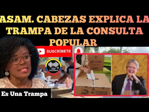 ASAMBLEÍSTA PAOLA CABEZAS EXPONE LA TRAMPA DE LA CONSULTA POPULAR MAÑOSA DE LASSO NOTICIAS RFE TV