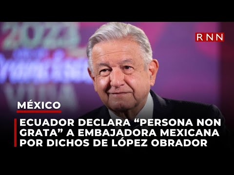 Ecuador declara “persona non grata” a embajadora mexicana por dichos de López Obrador