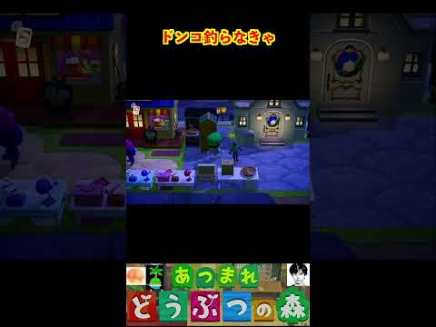 ドンコ釣らなきゃ #あつまれどうぶつの森 #shorts #あつ森