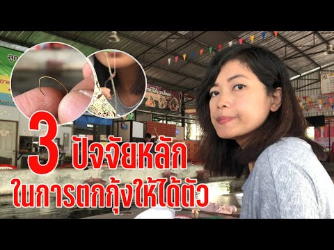 ตกกุ้งกับ3ปัจจัยหลักที่จะทำให