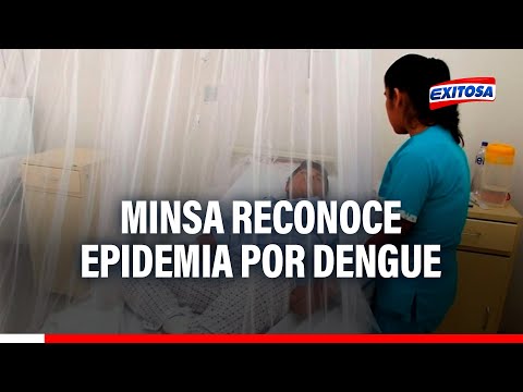 Minsa reconoce epidemia por dengue: Tenemos 302 distritos con transmisión activa a nivel nacional