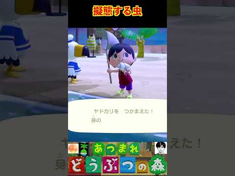 擬態する虫 #あつまれどうぶつの森 #shorts #あつ森