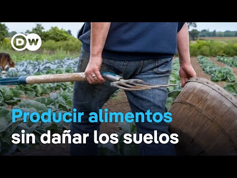 ¿Qué pueden hacer los agricultores para asegurar sus cosechas sin dañar los ecosistemas?