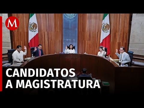 Tribunal Electoral designará la sexta magistratura para confirmar resultados de jornada electoral