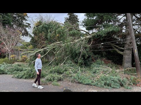 Thousands wait for power to be restored after bomb cyclone blasts parts of B.C.