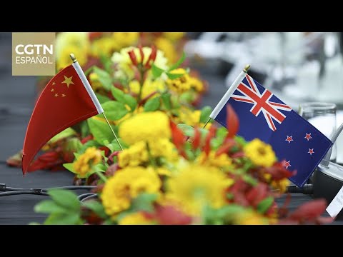 El canciller chino, Wang Yi, se reúne en Wellington con su homólogo neozelandés