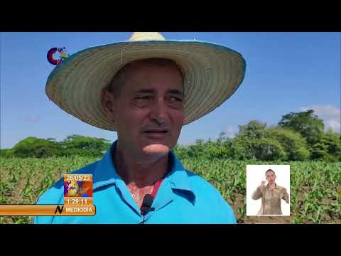Sobresale campesino espirituano por sus aportes al desarrollo económico de Cuba